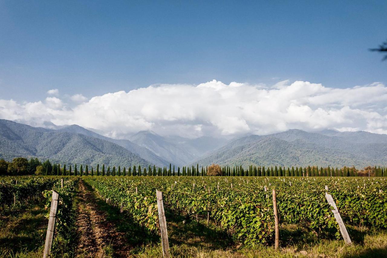Chateau Artwine Art'ana Buitenkant foto